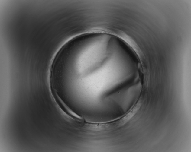 X0000091891438200709261631