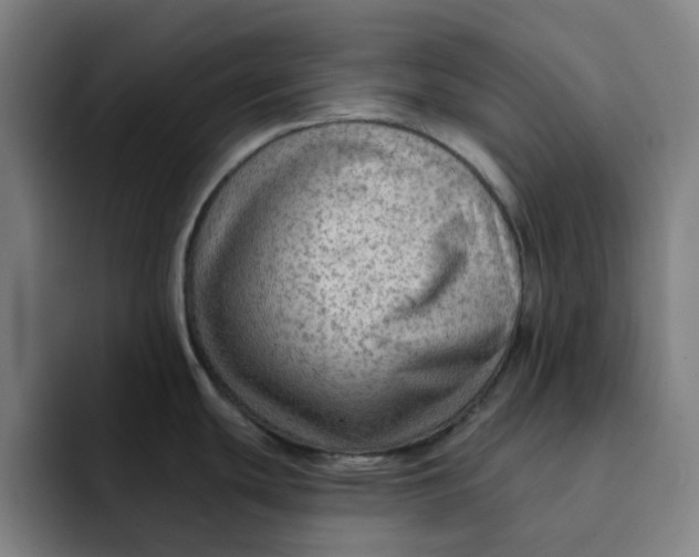 X0000091891439200709261631