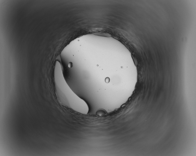 X0000091891441200709261631
