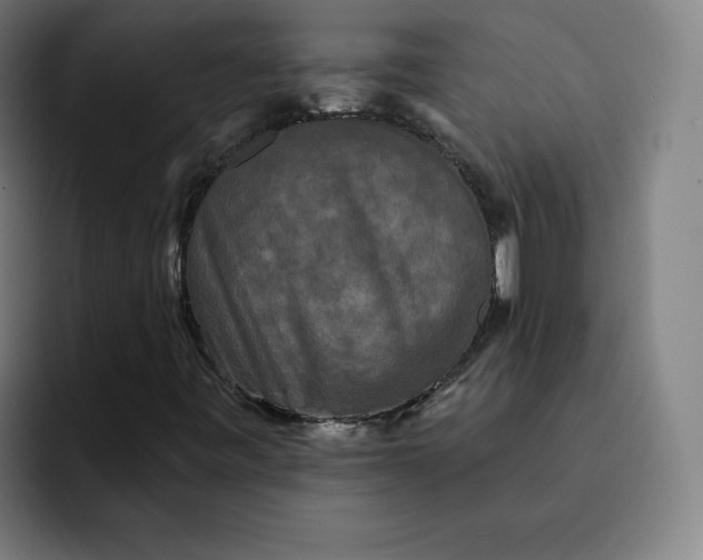 X0000091891443200709261631