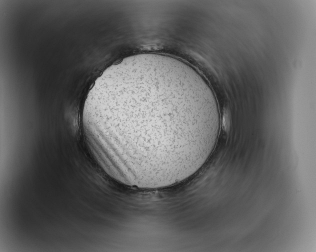 X0000091891444200709261631