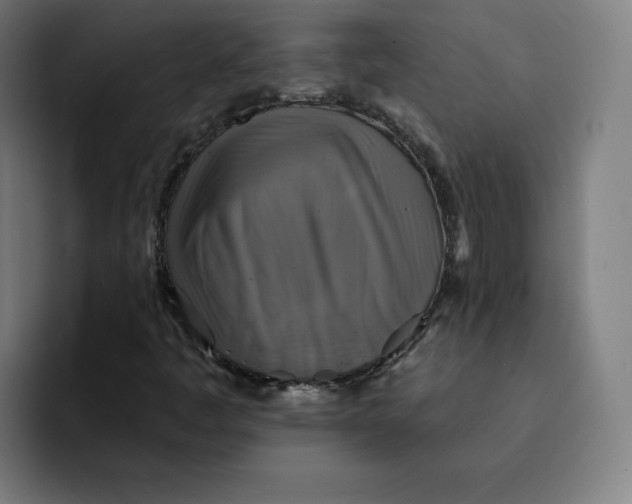 X0000091891445200709261631