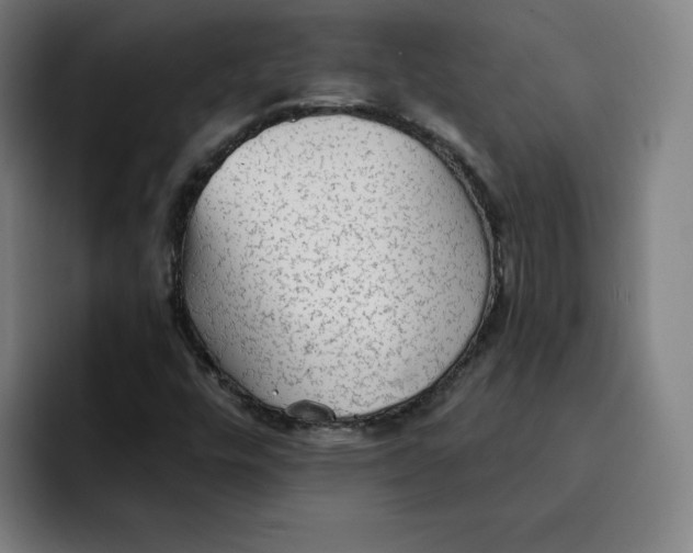 X0000091891448200709261631
