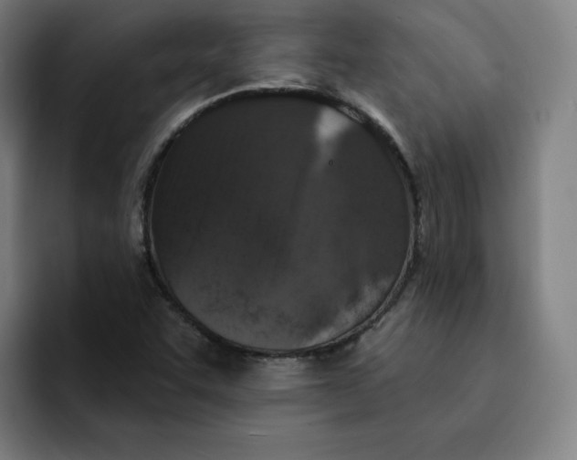 X0000091891455200709261631