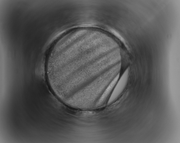 X0000091891456200709261631