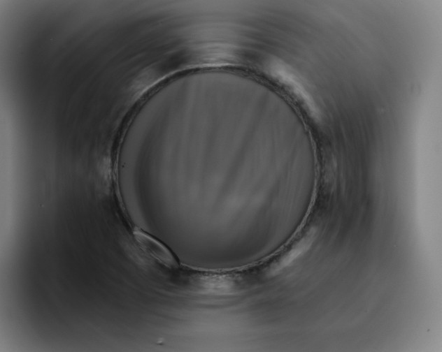 X0000091891457200709261631