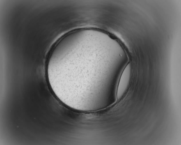 X0000091891460200709261631