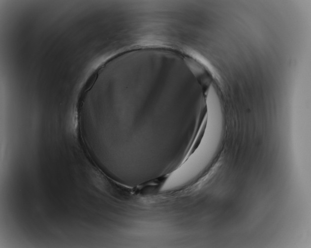 X0000091891461200709261630