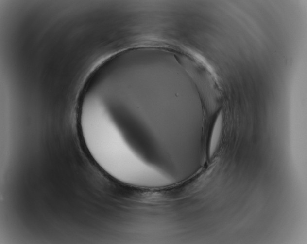 X0000091891463200709261630