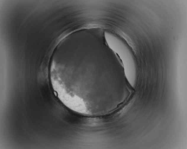 X0000091891465200709261630