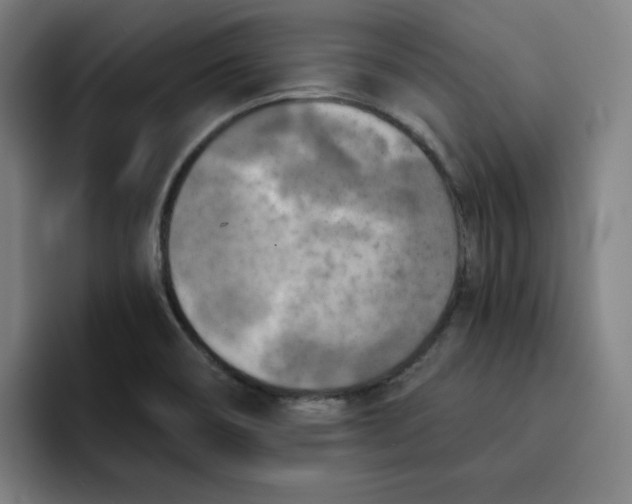 X0000091891466200709261630