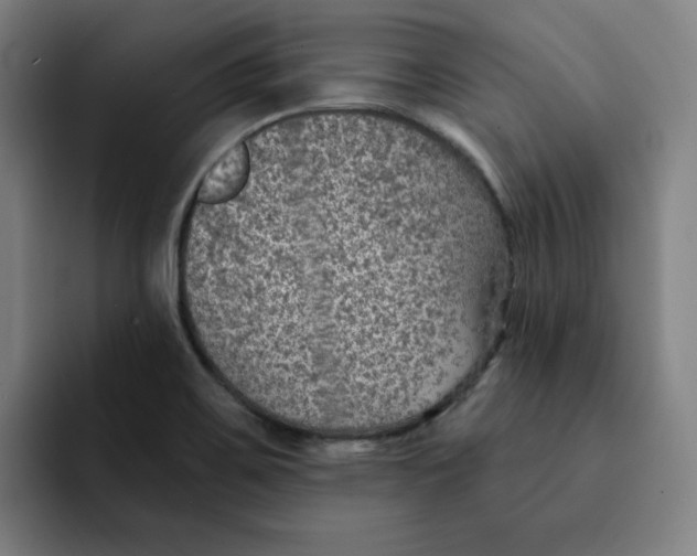 X0000091891467200709261630