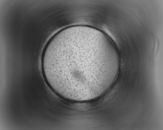 X0000091891468200709261630