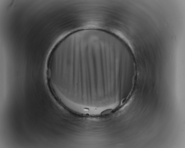 X0000091891469200709261630