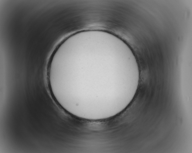 X0000091891470200709261630