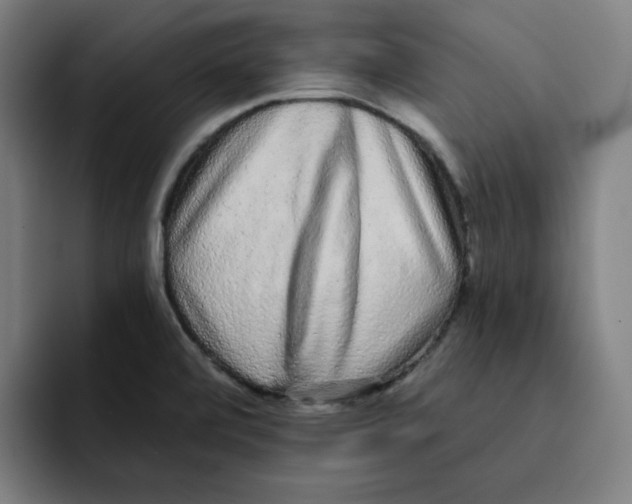 X0000091891472200709261630