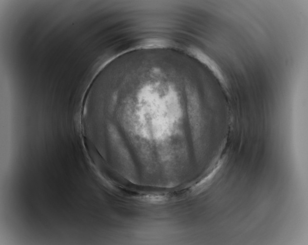 X0000091891473200709261630