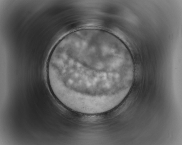 X0000091891474200709261630