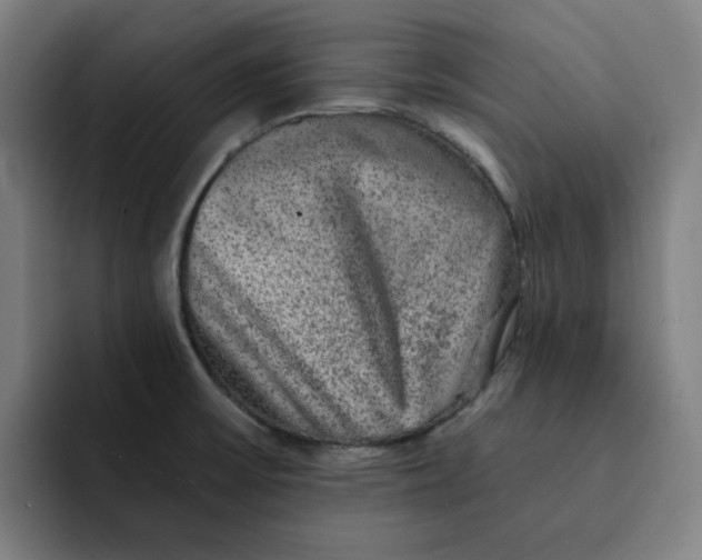 X0000091891475200709261630