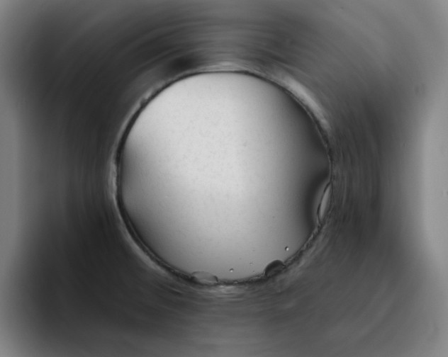 X0000091891476200709261630