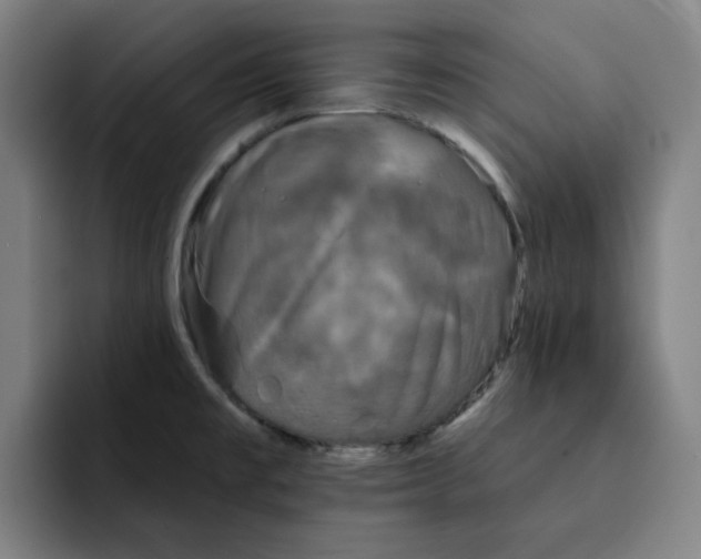 X0000091891477200709261630