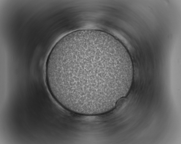 X0000091891479200709261630