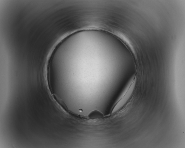 X0000091891480200709261630