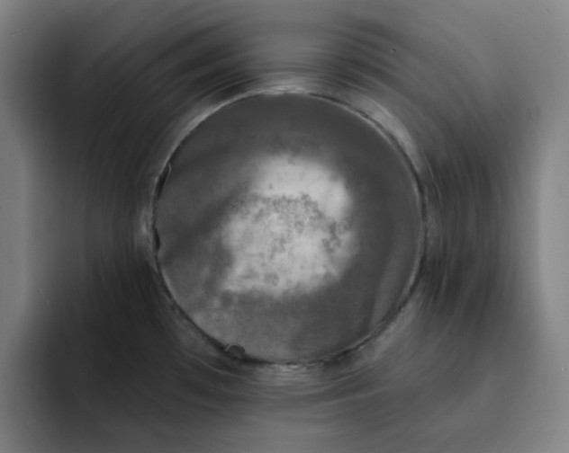 X0000091891481200709261630