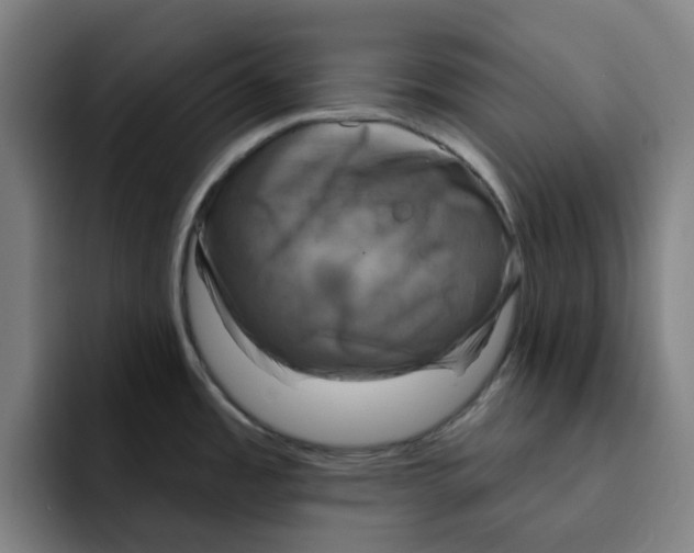 X0000091891485200709261630
