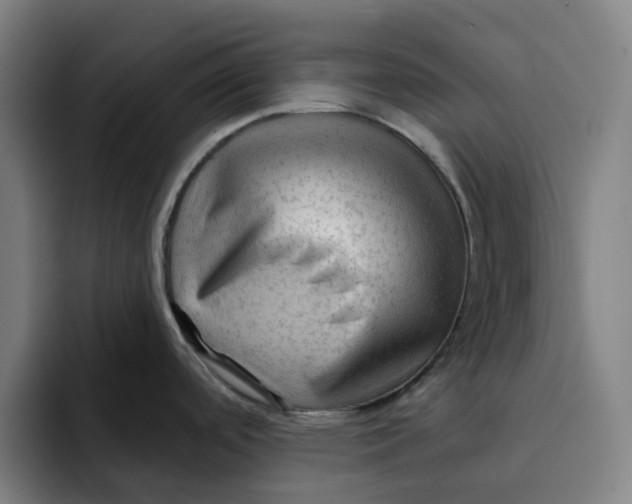 X0000091891488200709261630
