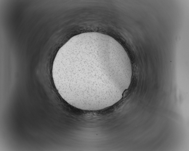 X0000091891489200709261629