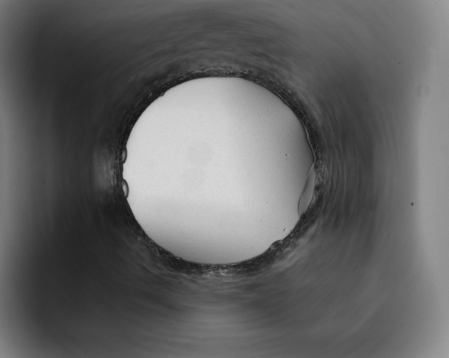 X0000091891490200709261629