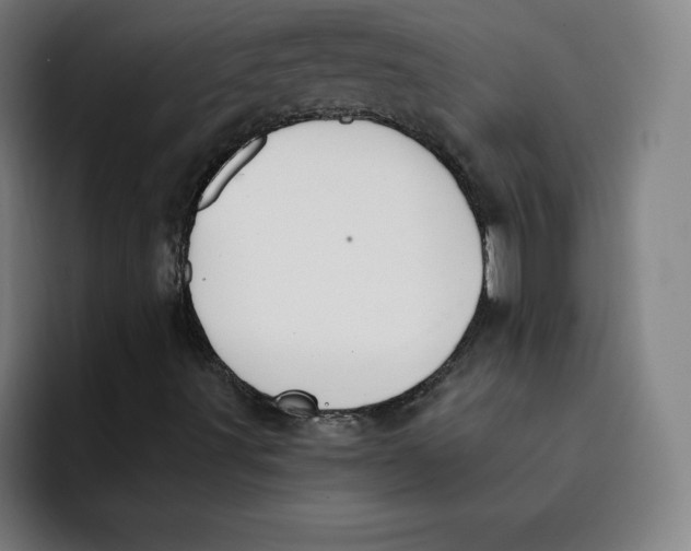 X0000091891491200709261629