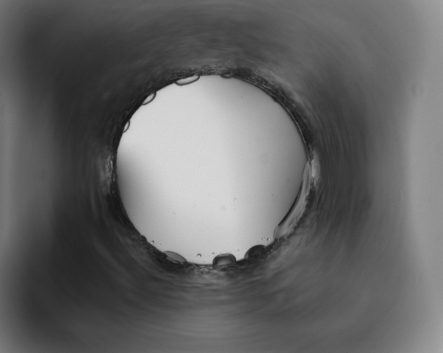 X0000091891492200709261629