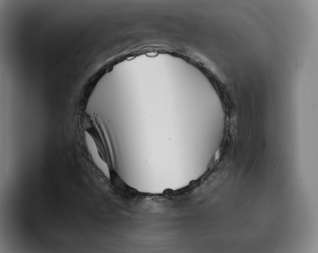 X0000091891496200709261630