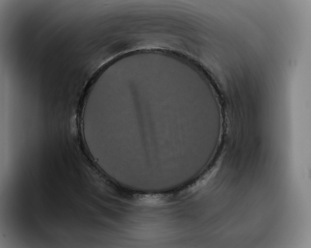 X0000091891497200709261630
