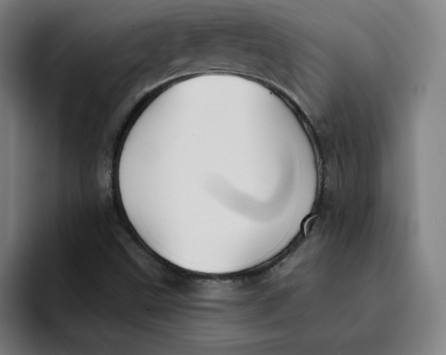 X0000091891499200709261630