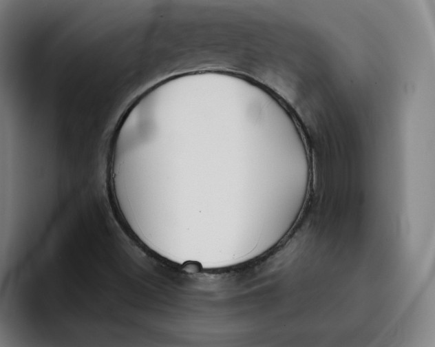 X0000091891500200709261630