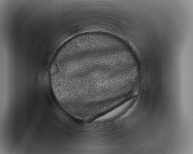 X0000091891505200709261630