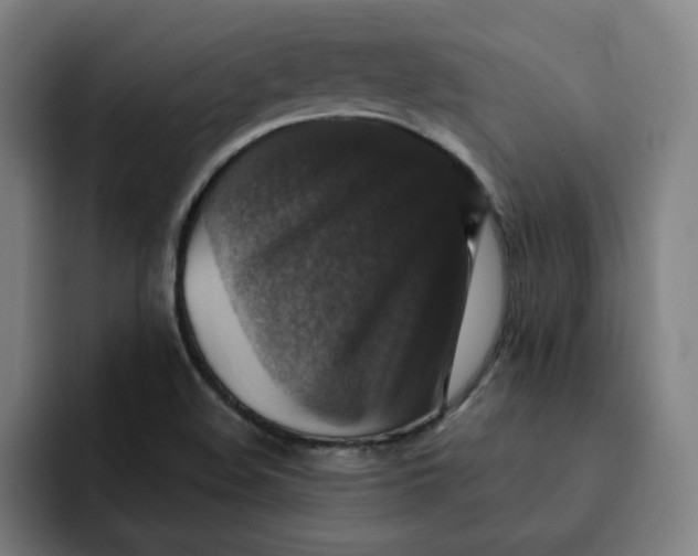 X0000091891508200709261630
