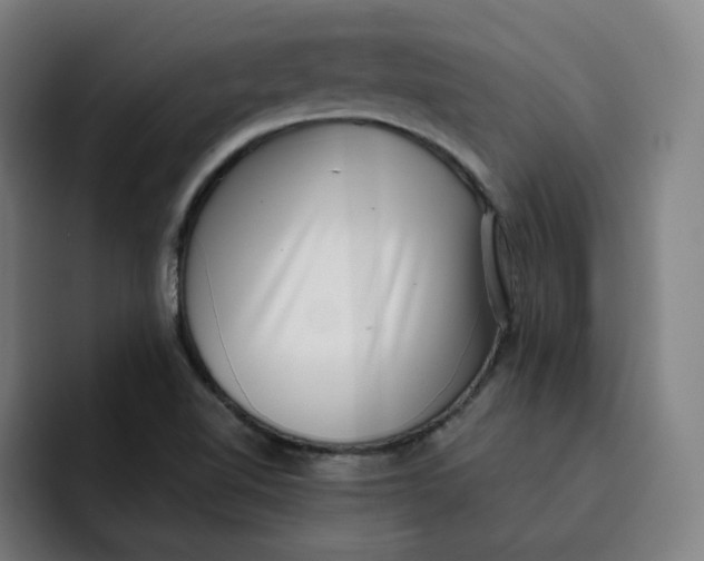 X0000091891510200709261630