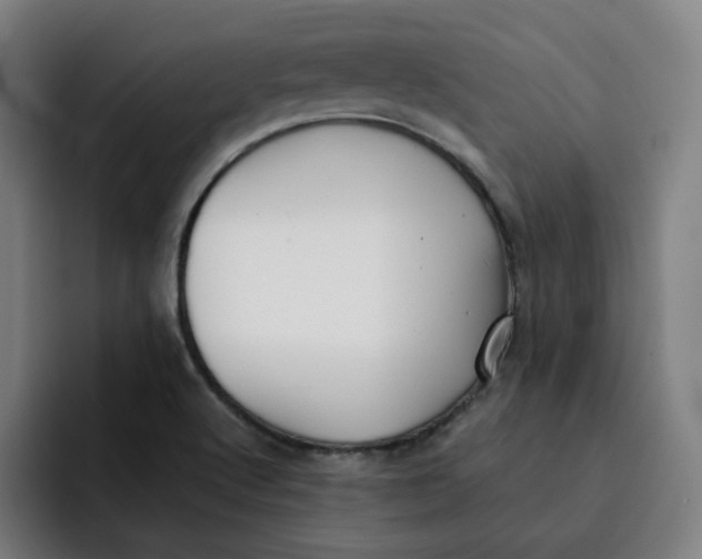 X0000091891512200709261630