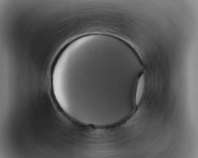 X0000091891515200709261630