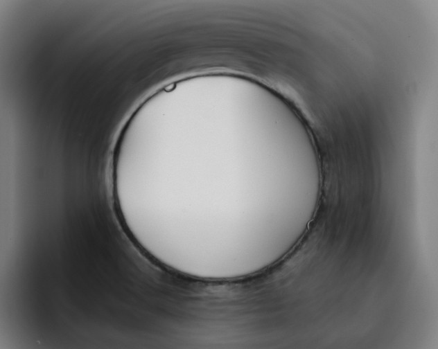 X0000091891516200709261630