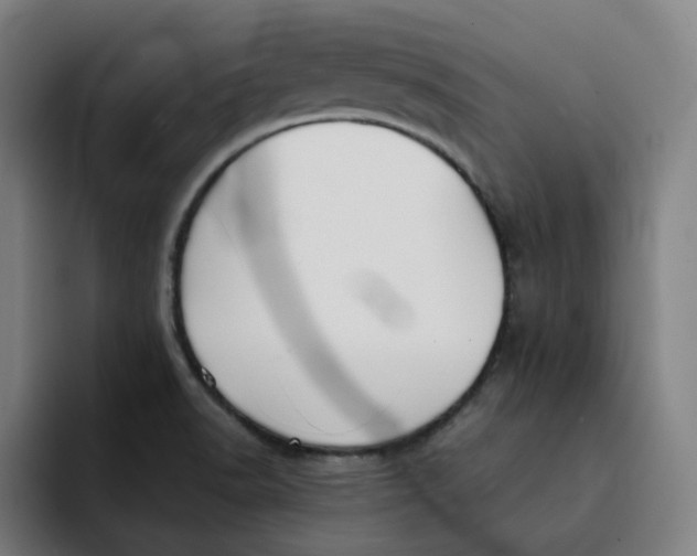 X0000091891518200709261630