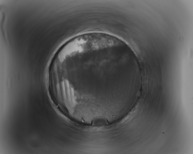 X0000091891519200709261630