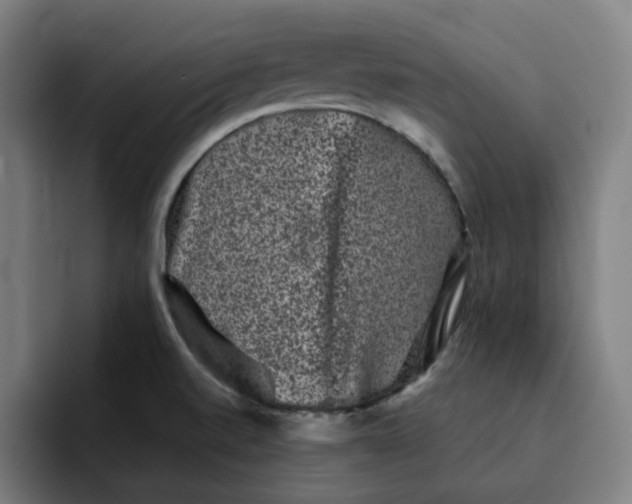X0000091891520200709261630