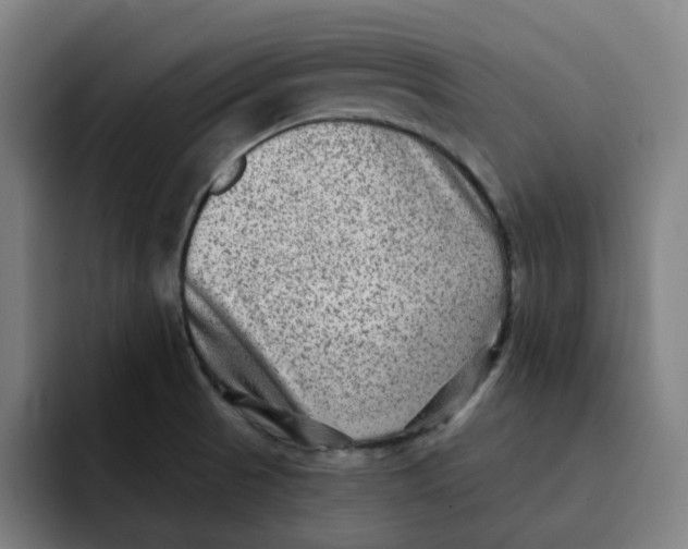 X0000091891521200709261630