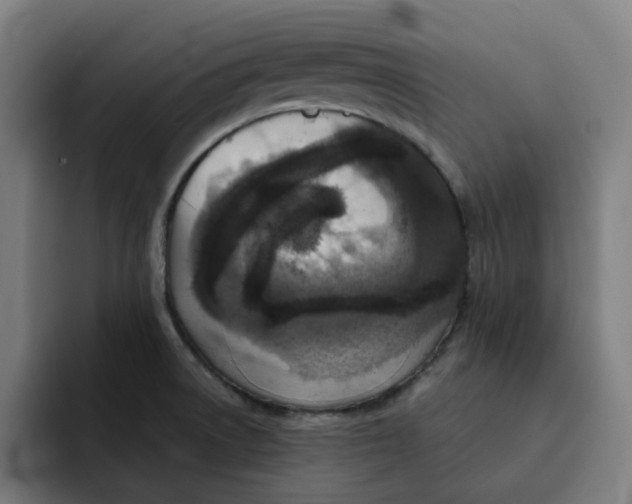 X0000091891522200709261630