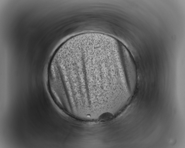X0000091891523200709261630